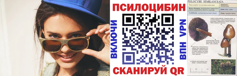 Галлюциногенные грибы прущие грибы  закладка  Якутск 